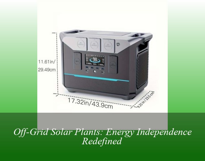 Off-Grid Solar Plants: Energy Independence Redefined